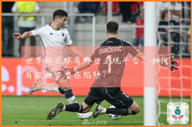 世界杯买球有哪些正规平台？如何有效避开潜在陷阱？