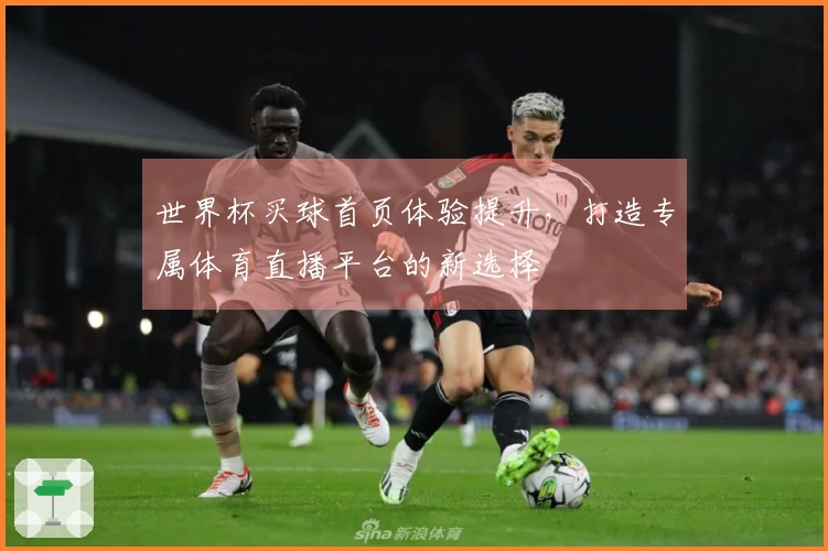 世界杯买球首页体验提升，打造专属体育直播平台的新选择