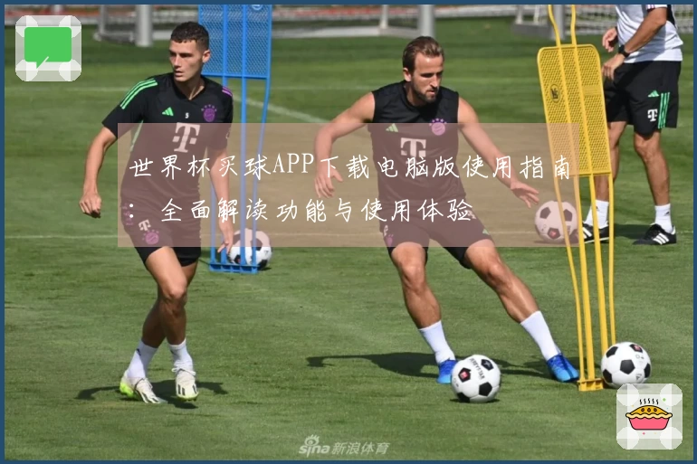 世界杯买球APP下载电脑版使用指南：全面解读功能与使用体验