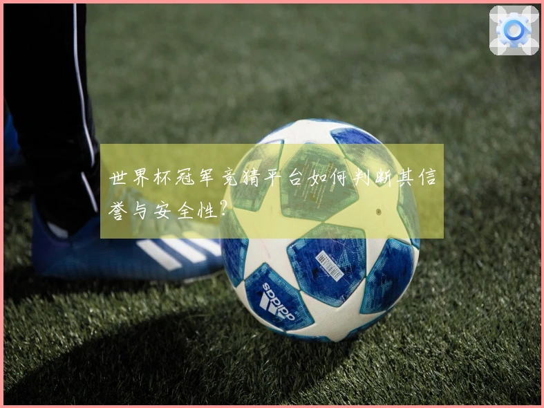 世界杯冠军竞猜平台如何判断其信誉与安全性？