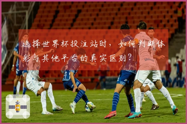 选择世界杯投注站时，如何判断体彩与其他平台的真实区别？