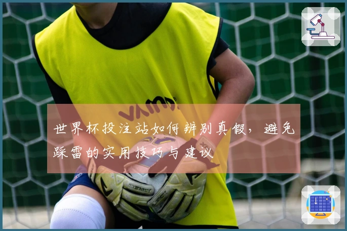世界杯投注站如何辨别真假，避免踩雷的实用技巧与建议