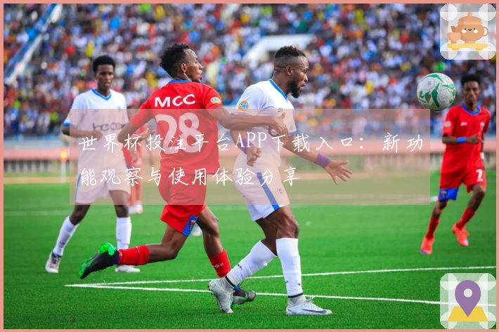 世界杯投注平台APP下载入口：新功能观察与使用体验分享