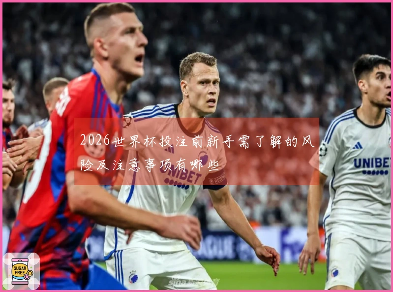 2026世界杯投注前新手需了解的风险及注意事项有哪些