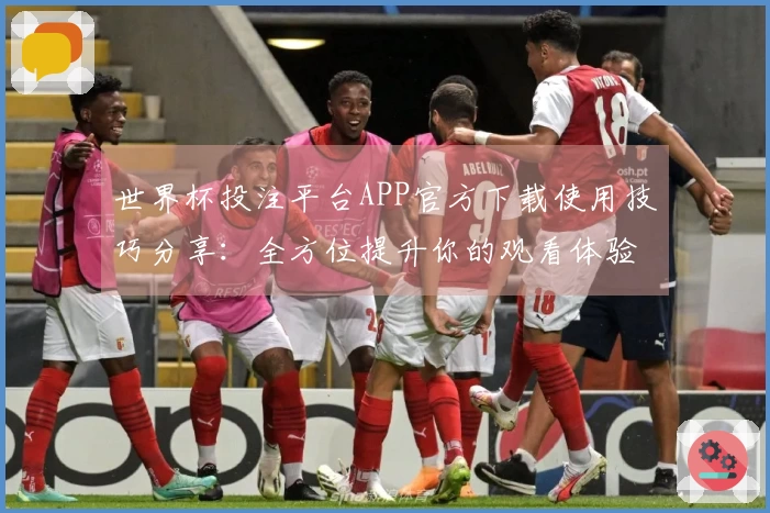 世界杯投注平台APP官方下载使用技巧分享：全方位提升你的观看体验