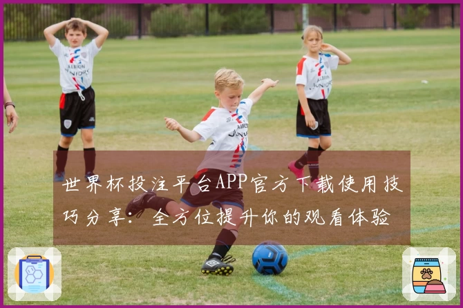 世界杯投注平台APP官方下载使用技巧分享:全方位提升你的观看体验