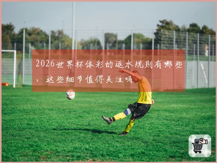 2026世界杯体彩的返水规则有哪些，这些细节值得关注吗