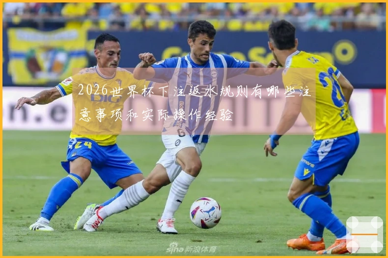 2026世界杯下注返水规则有哪些注意事项和实际操作经验