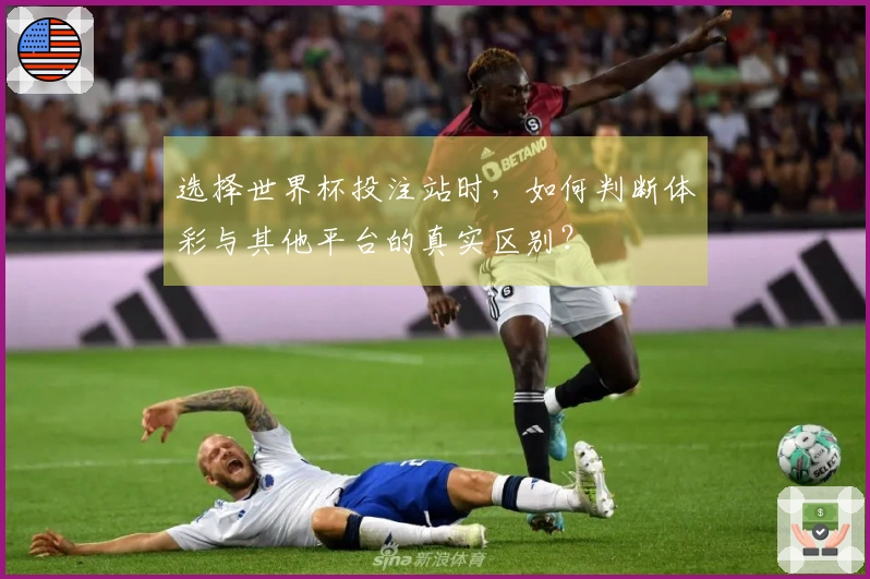选择世界杯投注站时，如何判断体彩与其他平台的真实区别？