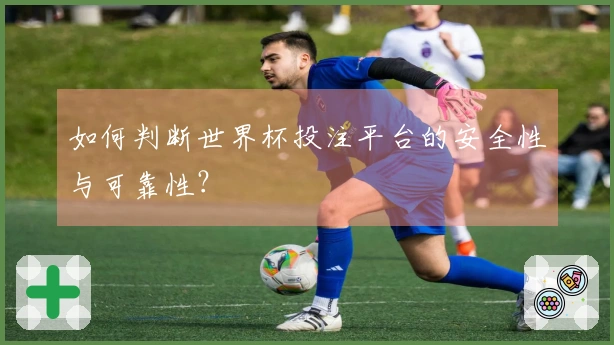 如何判断世界杯投注平台的安全性与可靠性？