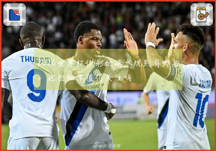 2026世界杯体彩的返水规则有哪些，这些细节值得关注吗