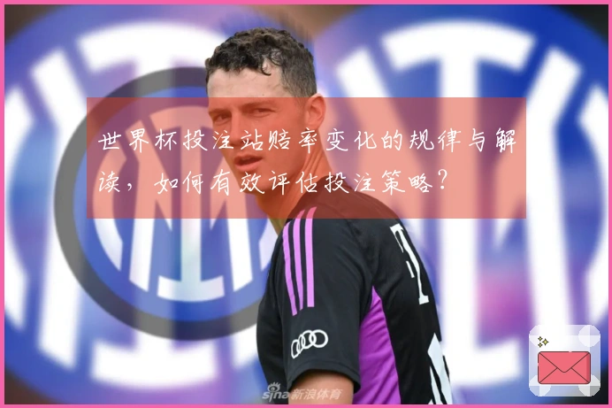 世界杯投注站赔率变化的规律与解读，如何有效评估投注策略？
